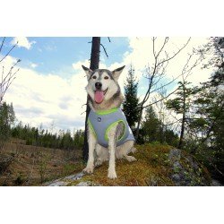 Truelove Summer Sun jacket for dogs - TLG2511