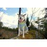 Truelove Summer Sun jacket for dogs - TLG2511