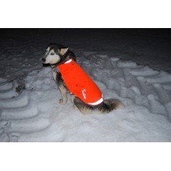 Truelove Rain dog Jacket - TLG2681
