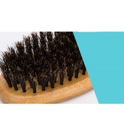 Truelove dog Slide Smoothing Brush - TLK21131