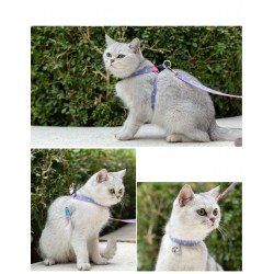 Truelove Mousse dog Harness and Leash for Cats - TLH3911