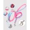 Truelove Cute Cat dog Collar and Leash - TLC5311