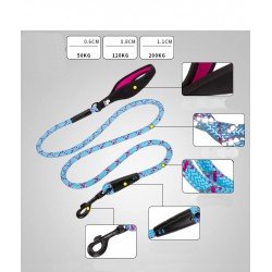 Truelove Running + dog Leash - TLL2571