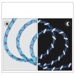 Truelove Running + dog Leash - TLL2571