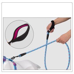 Truelove Running + dog Leash - TLL2571
