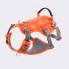 Truelove Manley dog Harness - TLH7011 - TLH7011