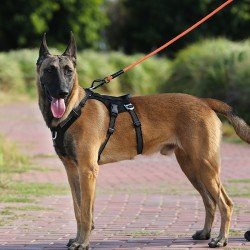 Truelove Manley dog Harness - TLH7011 - TLH7011